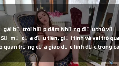 gái bị trói hiếp dâm Những điều thú vị về sex ở Bắc Âu: Sự mở cửa đầu tiên, giới tính và vai trò quan trọng của giáo dục tình dục trong các quốc gia này.